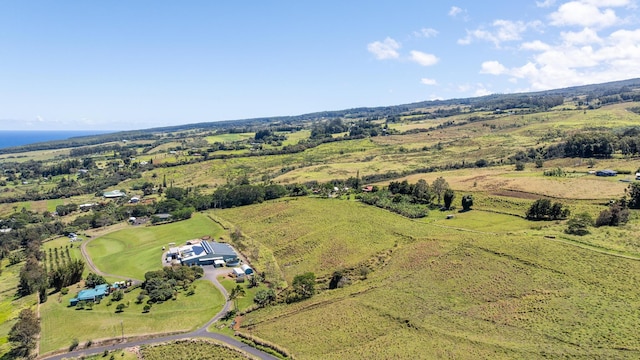 36-239 Manowaiopae Homestead Rd, Laupahoehoe, HI 96764 - photo 26