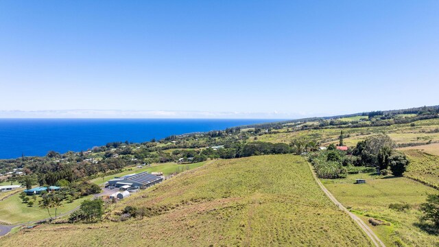 36-239 Manowaiopae Homestead Rd, Laupahoehoe, HI 96764 - photo 27