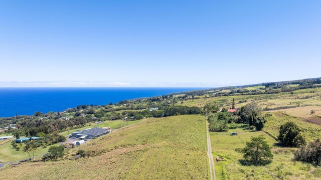 36-239 Manowaiopae Homestead Rd, Laupahoehoe, HI 96764 - photo 28