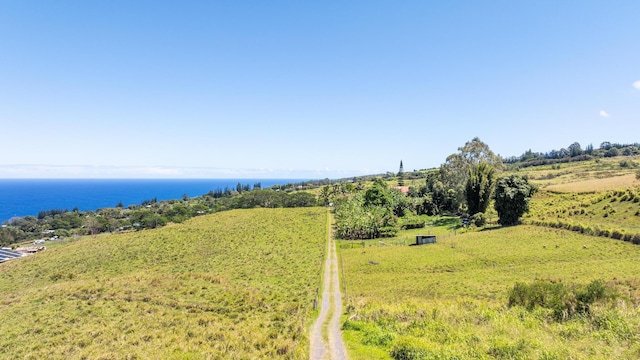 36-239 Manowaiopae Homestead Rd, Laupahoehoe, HI 96764 - photo 29