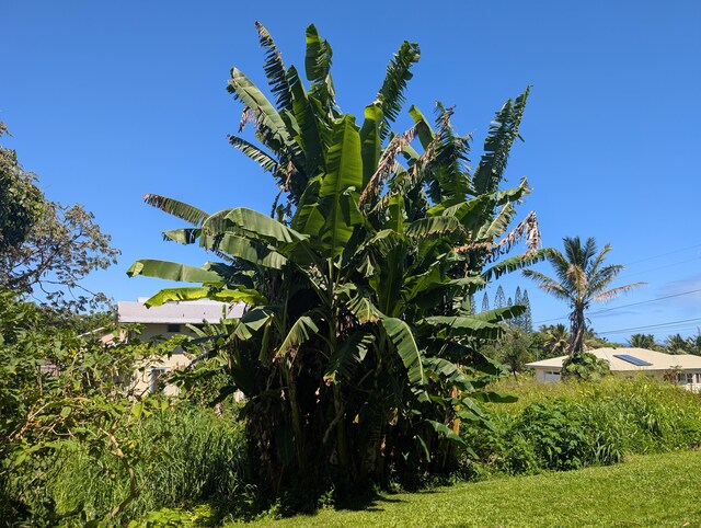 15-2770 Popaa St, Pahoa, HI 96778