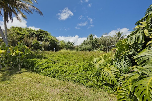 15-2770 Popaa St, Pahoa, HI 96778