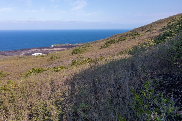 Guava Rd, Captain Cook, HI 96704
