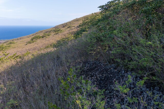 Guava Rd, Captain Cook, HI 96704