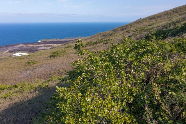 Guava Rd, Captain Cook, HI 96704