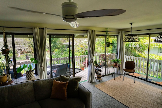 3057 Poipu Rd Unit C10, Koloa, HI 96756 - sunroom / solarium featuring carpet floors and plenty of natural light