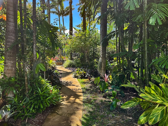 5061 Lawai Rd Unit 333, Koloa, HI 96756 - view of community
