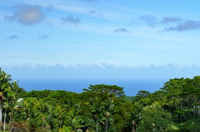 28-811 Akaka Falls Rd, Honomu, HI 96728 - view of woods