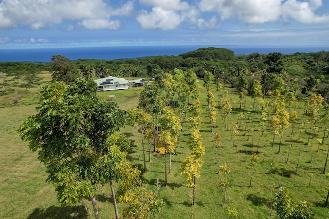 28-811 Akaka Falls Rd, Honomu, HI 96728 - view from above of property with a nearby body of water