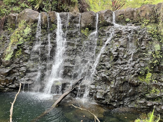 28-811 Akaka Falls Rd, Honomu, HI 96728 - exterior space