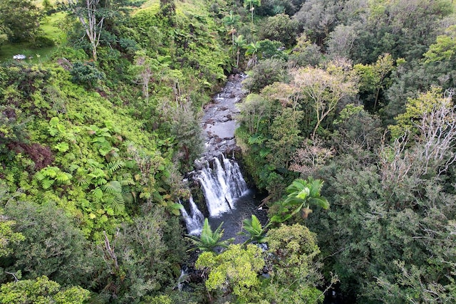 28-811 Akaka Falls Rd, Honomu, HI 96728 - aerial overview of property's location with a forest