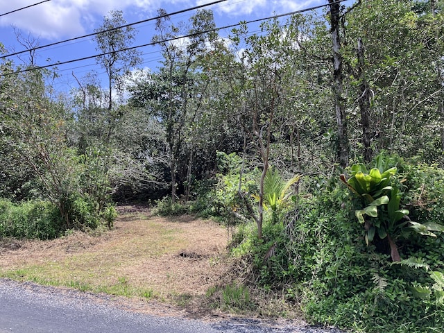 15-1463 21st Ave, Keaau, HI 96749