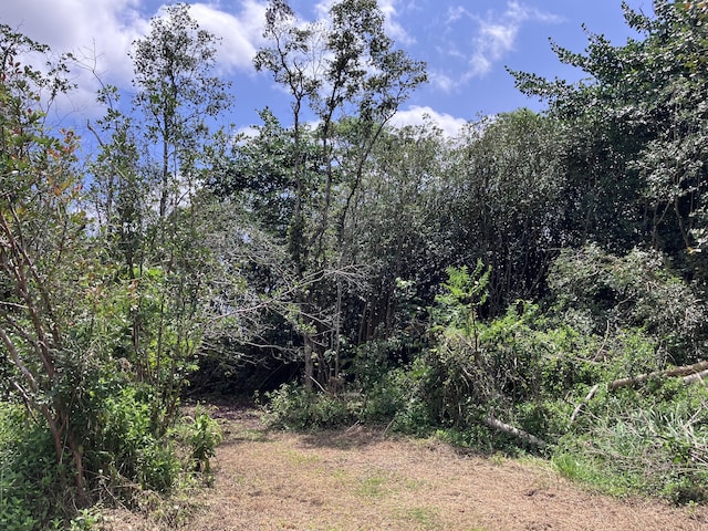 15-1463 21st Ave, Keaau, HI 96749