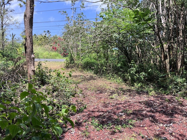 15-1463 21st Ave, Keaau, HI 96749