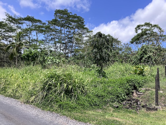15-1463 21st Ave, Keaau, HI 96749