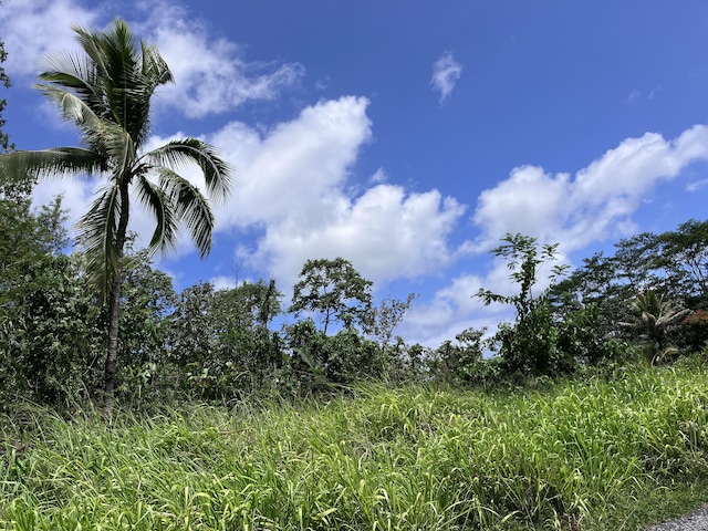 15-1463 21st Ave, Keaau, HI 96749