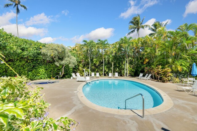 525 Aleka Lp Unit C13, Kapaa, HI 96746 - community pool featuring a patio and view of scattered trees