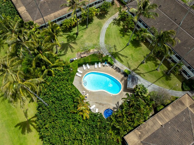 525 Aleka Lp Unit C13, Kapaa, HI 96746 - drone / aerial view of a pool