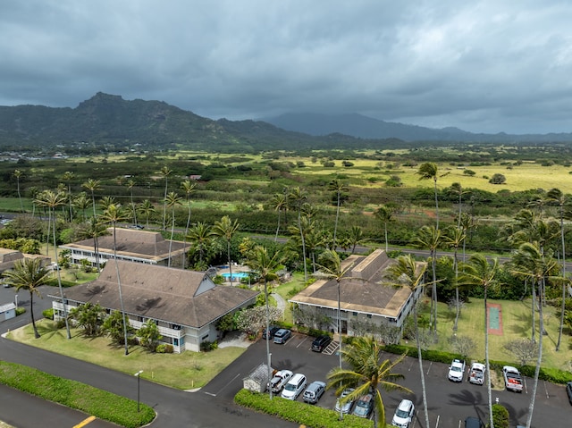 525 Aleka Lp Unit C13, Kapaa, HI 96746 - bird's eye view of mountains
