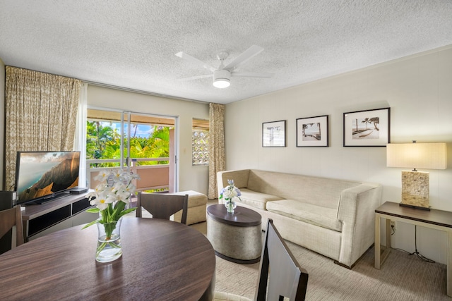 525 Aleka Lp Unit C13, Kapaa, HI 96746 - living area featuring a ceiling fan and a textured ceiling