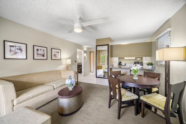 525 Aleka Lp Unit C13, Kapaa, HI 96746 - living area with healthy amount of natural light, a ceiling fan, light carpet, and a textured ceiling