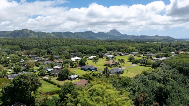 4085-B Noho Rd, Koloa, HI 96756 - bird's eye view of a forest and a mountain backdrop