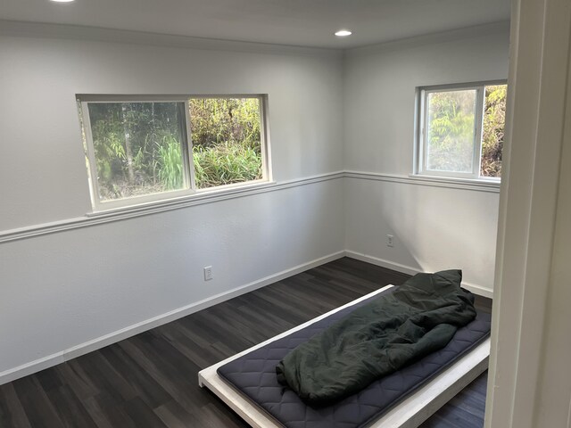 16-2064 Azure Dr, Pahoa, HI 96778 - bedroom with wood finished floors, recessed lighting, and baseboards