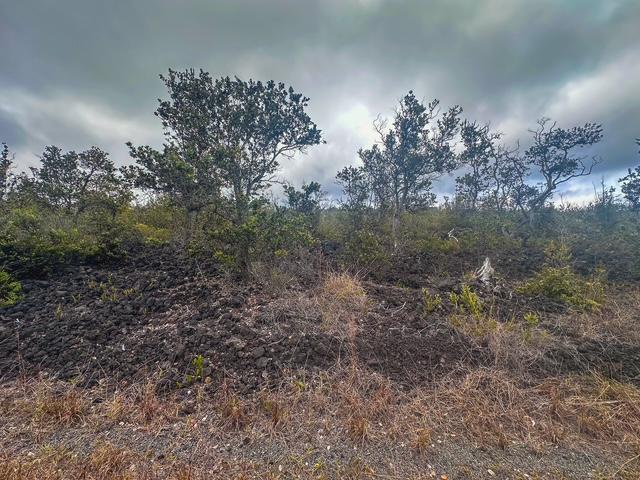 Bamboo Ln, Ocean View, HI 96737