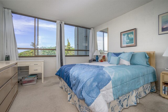 1875 Kalanianaole Ave Unit 409, Hilo, HI 96720 - bedroom with concrete block wall and light carpet