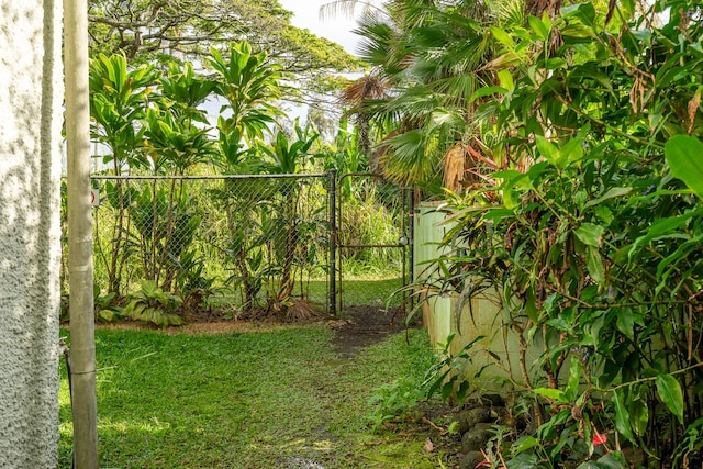 1875 Kalanianaole Ave Unit 409, Hilo, HI 96720 - view of yard with a gate