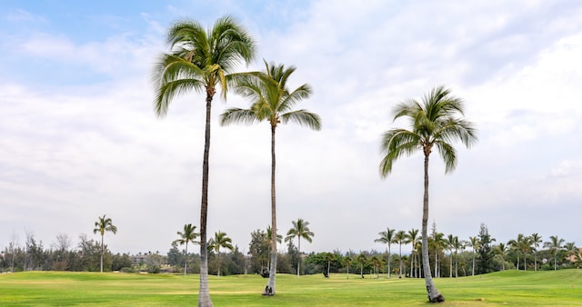 69-1010 Keana Pl Unit F105, Waikoloa, HI 96738 - view of community featuring view of golf course, a lawn, and view of wooded area