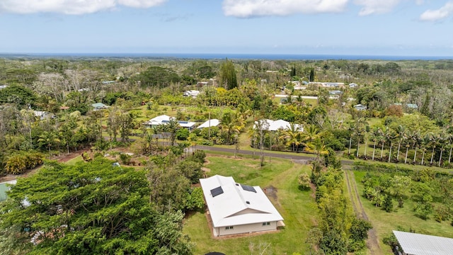 15-2060 29th Ave, Keaau, HI 96749 - bird's eye view of a forest