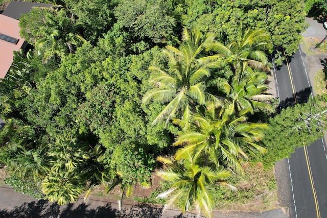 Kalapana-Kapoho Beach Rd, Pahoa, HI 96778