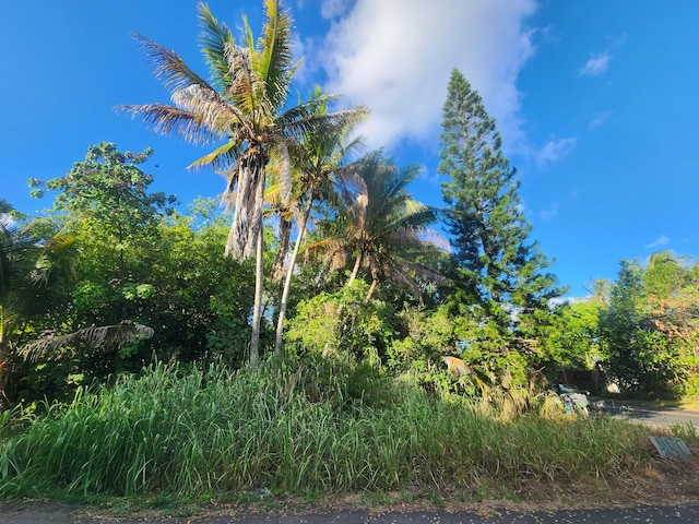 Kalapana-Kapoho Beach Rd, Pahoa, HI 96778