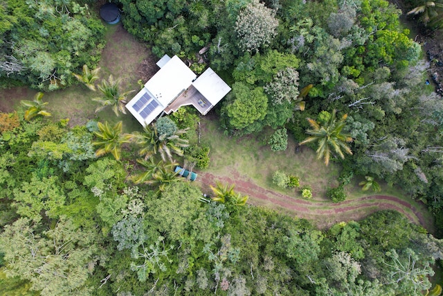 14-4796 Sadilek Rd, Pahoa, HI 96778 - photo 16
