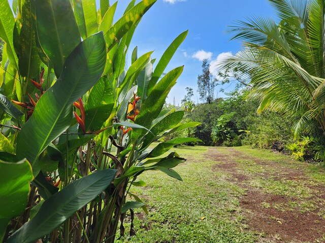 14-4796 Sadilek Rd, Pahoa, HI 96778 - photo 22