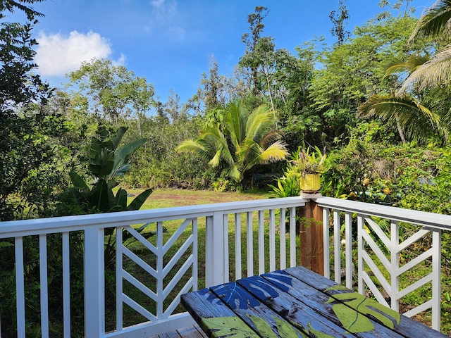 14-4796 Sadilek Rd, Pahoa, HI 96778 - photo 11
