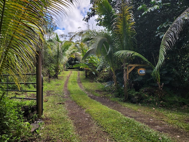 14-4796 Sadilek Rd, Pahoa, HI 96778 - photo 23