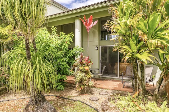 3880 Wyllie Rd Unit 8C, Princeville, HI 96722 - entrance to property with a patio