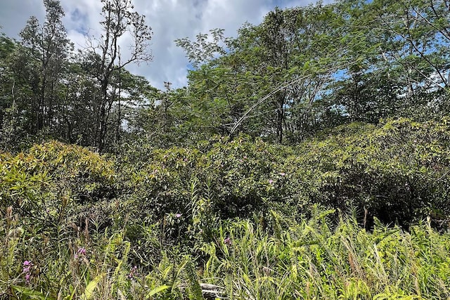 17th Ave, Keaau, HI 96749