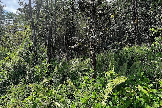 17th Ave, Keaau, HI 96749