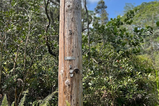 17th Ave, Keaau, HI 96749
