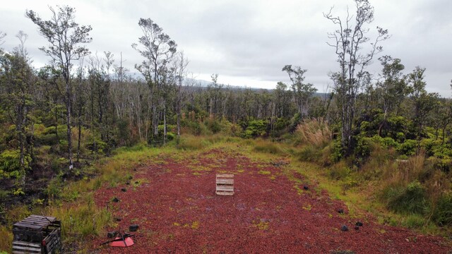 11-2550 Ohialani Rd, Volcano, HI 96785 - photo 22
