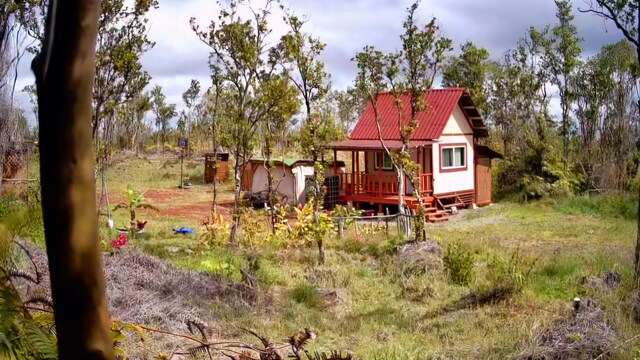 11-2550 Ohialani Rd, Volcano, HI 96785 - photo 24