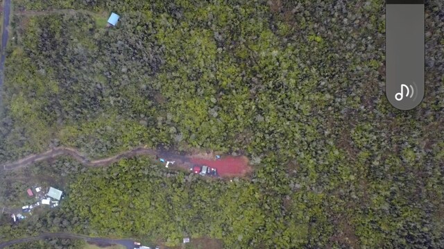 11-2550 Ohialani Rd, Volcano, HI 96785 - photo 25