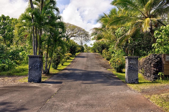 13-125 Nalu Pl, Pahoa, HI 96778 - view of road
