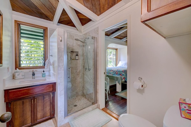 13-125 Nalu Pl, Pahoa, HI 96778 - full bathroom featuring toilet, a shower stall, vanity, and beamed ceiling