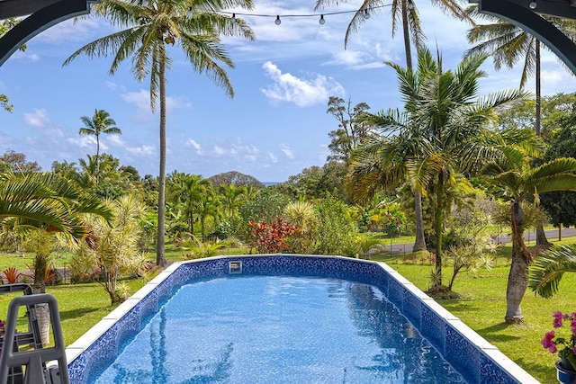 13-125 Nalu Pl, Pahoa, HI 96778 - outdoor pool with a yard
