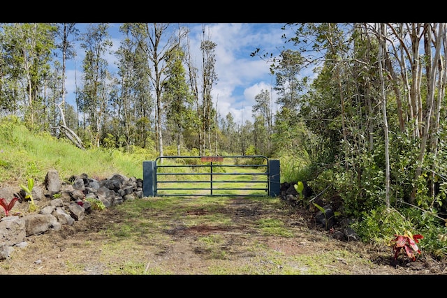 16-570 Wao Kele Rd, Kurtistown, HI 96760 - photo 8