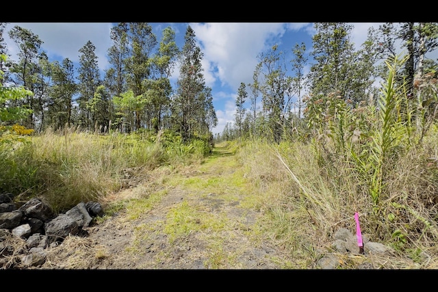 16-570 Wao Kele Rd, Kurtistown, HI 96760 - photo 24